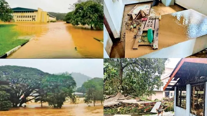 A photo of damage by Ditwah - Alumni Association of the University of Peradeniya, gta and suburbs